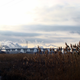 Image for article titled Does This Buckling Bridge Hint at Larger US Infrastructural Woes?